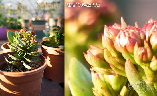 ��������漸�ꣿ̸̸���������Щ�¶�