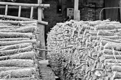 ��Ϣ�����º�����Ȩɽҩ���� ÿ����ѹ�����