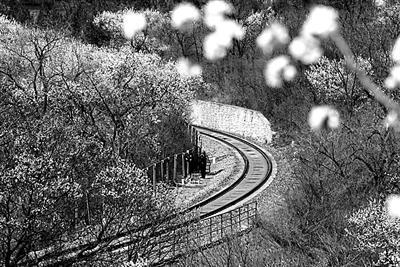 ������������г�����̶�����㹩�ο�����