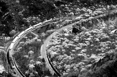 ������������г�����̶�����㹩�ο�����