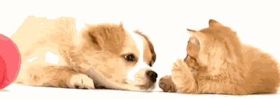 �й�����10����壬������Χ�൱���ˣ�