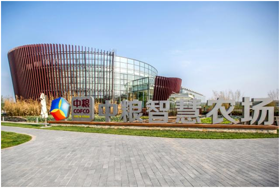 �����ǻ�ũ����������ͯ��