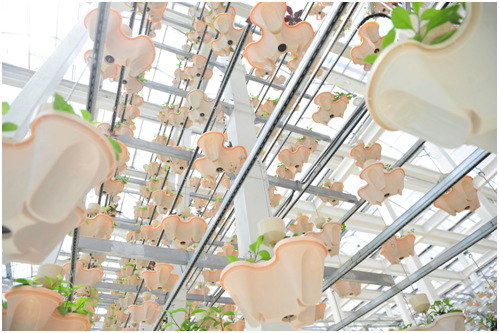 �����ǻ�ũ����������ͯ��