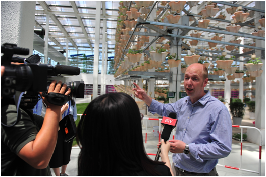 �����ǻ�ũ����������ͯ��