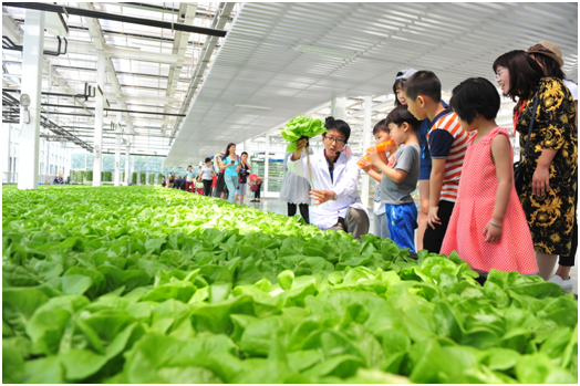 �����ǻ�ũ����������ͯ��