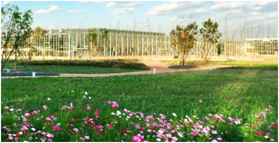 �����ǻ�ũ����������ͯ��