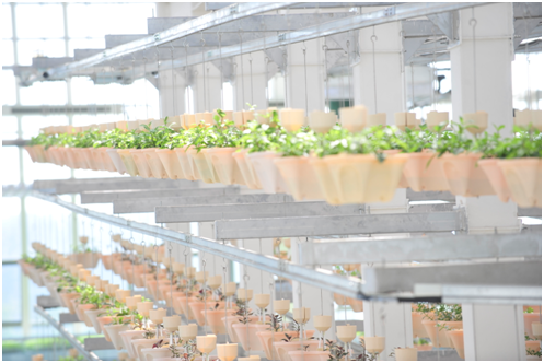 �����ǻ�ũ����������ͯ��