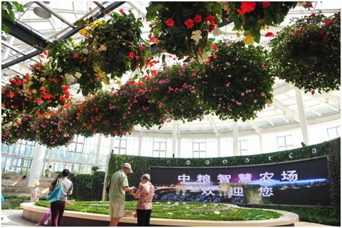 �����ǻ�ũ����������ͯ��