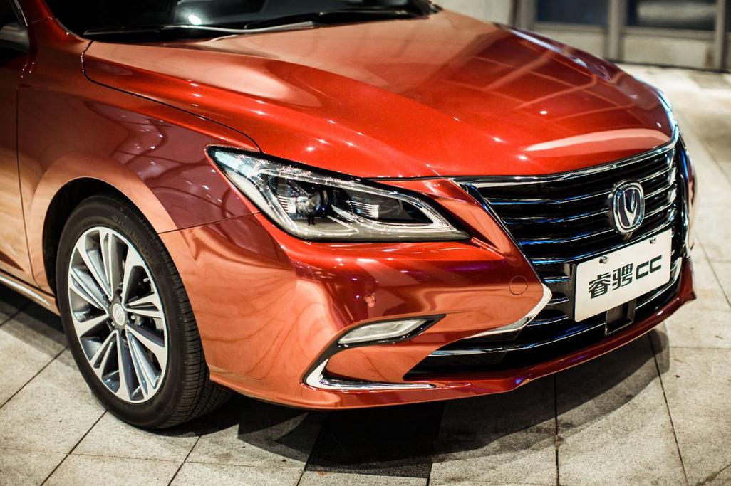 ��ֻһ����Ƥ�ң��CC���ڴ���Ǭ��