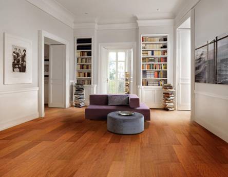 番龙眼S-24-29 (2)