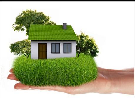 ��ɫ����