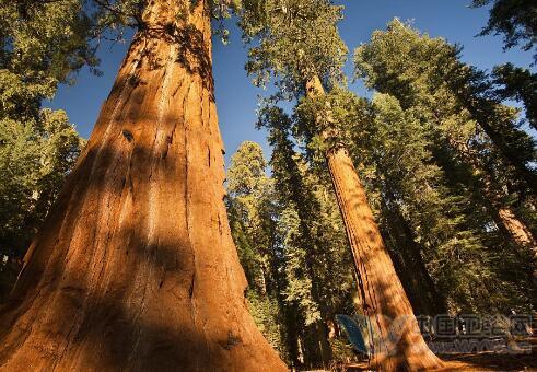 �й���ԡ��