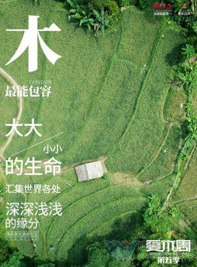 �й���ԡ��