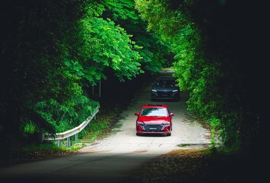 271017025c21f1bbcc3664.jpg 2.jpg