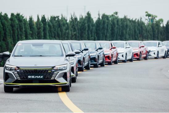 27101730a53da2a31a8888.jpg 4.jpg